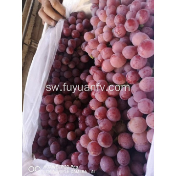 2019 YUNNAN GRAPES START